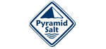 logo - Pyramid Salt