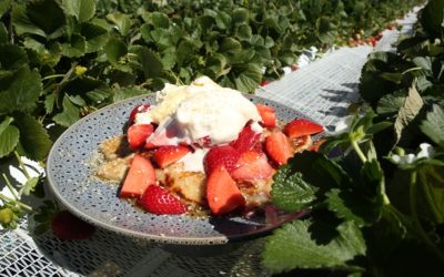 Strawberry & Buttermilk Pancakes